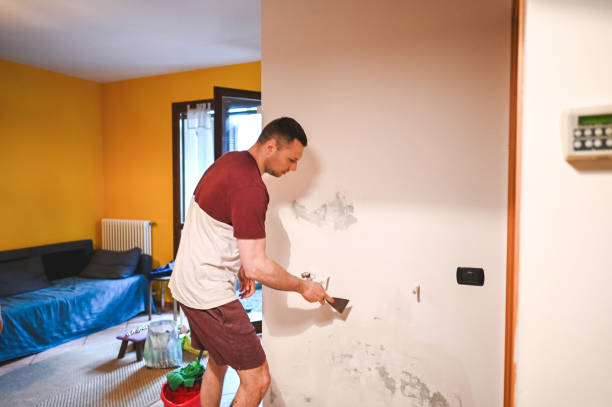 Best Insurance-Related Mold Remediation in Cordry Sweetwater Lakes, IN