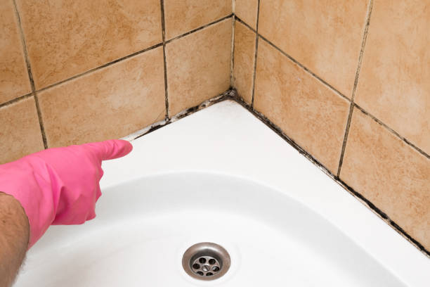 Best Residential Mold Remediation in Cordry Sweetwater Lakes, IN